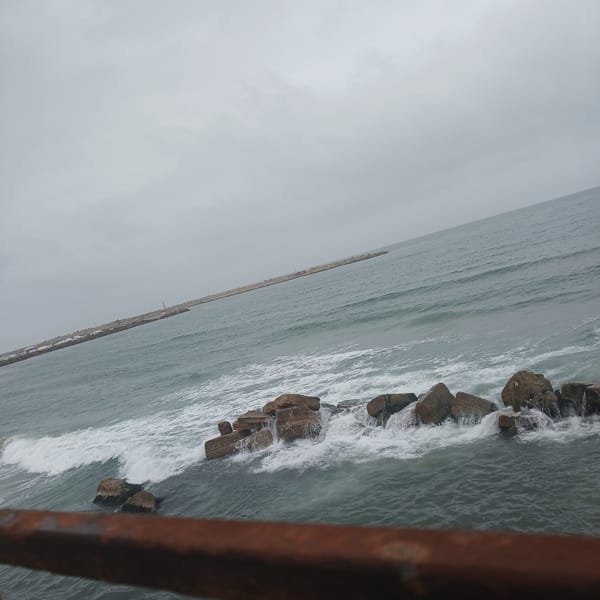 Mediterranean coastal scenes documented in Palestinian Territory