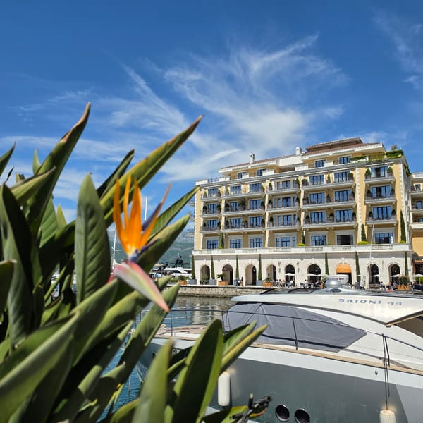 Sunny morning tour of Tivat's luxury marina district documented