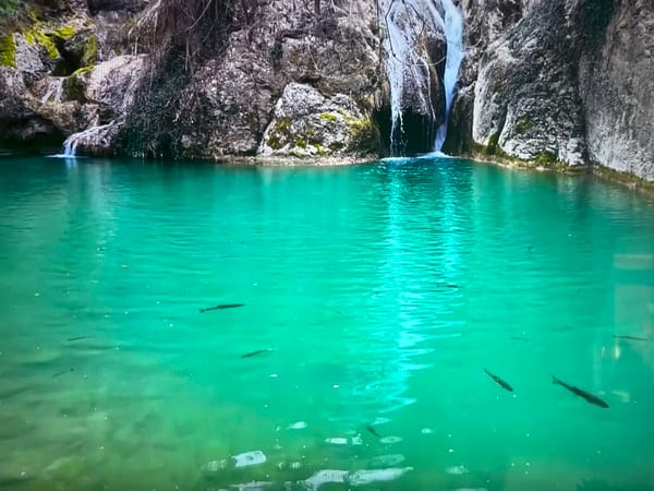 Turquoise waterfall pool documented in Basingstoke countryside