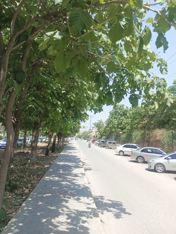 University campus life documented during morning hours in Peshawar