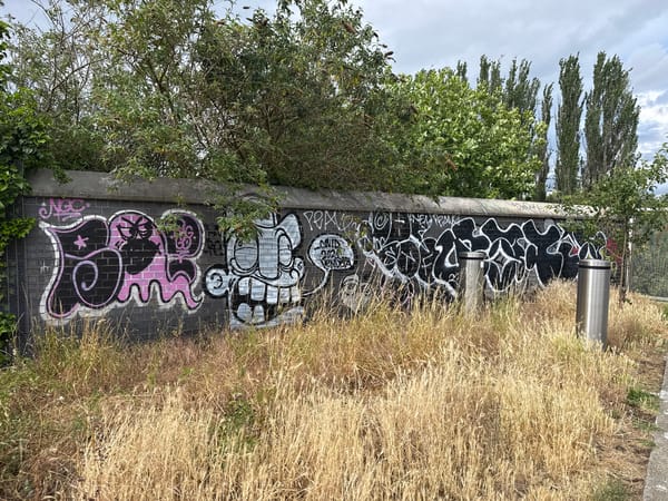 London park area documented by witnesses during afternoon hours