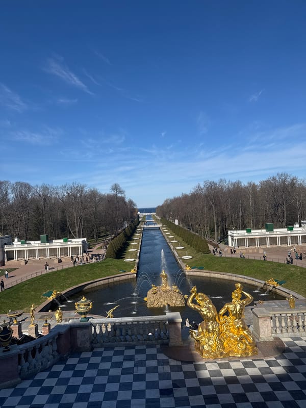 Tourist captures scenic views at Russia's Peterhof Palace gardens