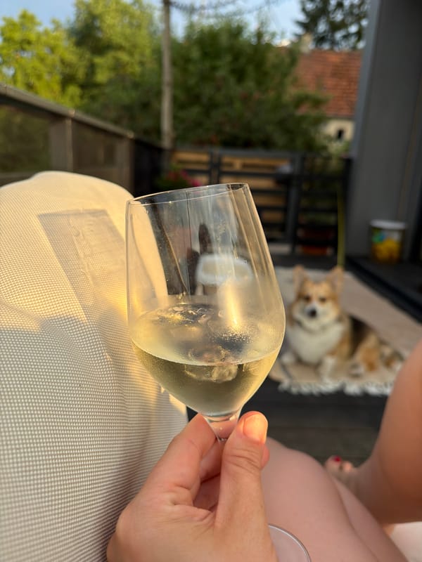 Wine and snacks in Gangloff, Corgi supervising closely
