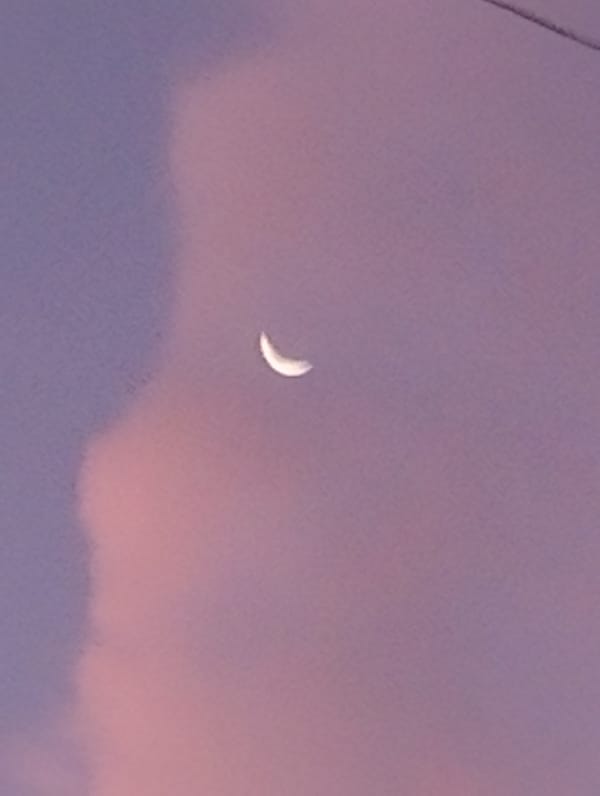 Crescent moon observed in colorful dawn sky May 12