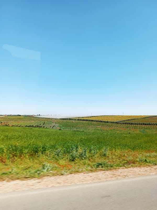 Landscape view captured in Meknes, Morocco shows agricultural hills