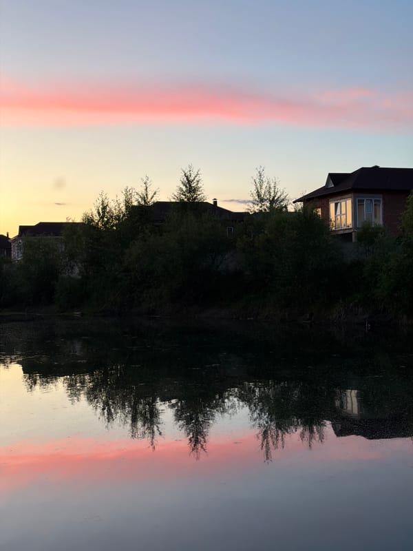 Sunset evening by the water in Birobidzhan, daisies and golden domes