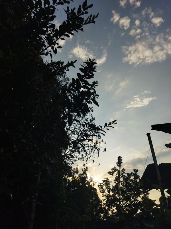 Evening scenes captured in Tinaquillo, Venezuela