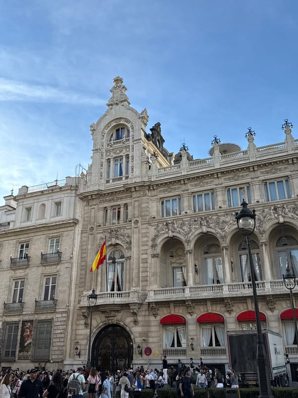 Purple-haired woman photographs herself at Madrid's Plaza Mayor