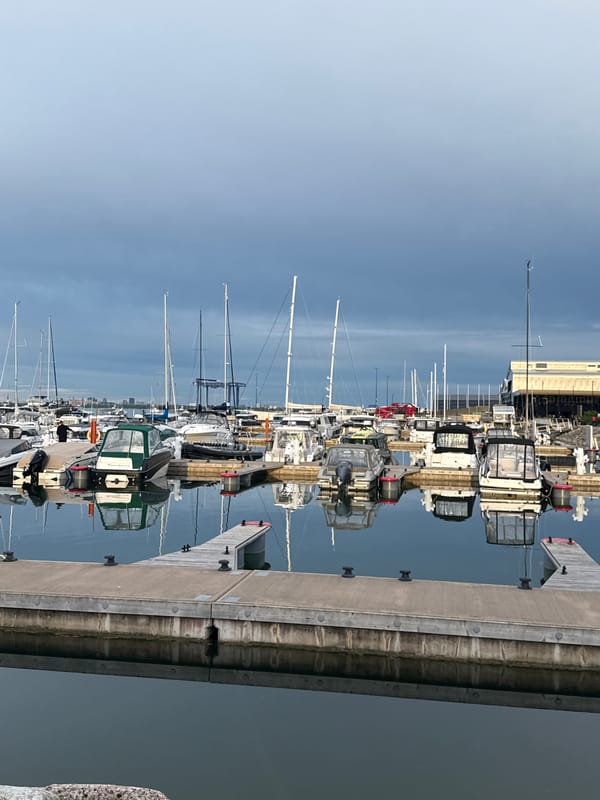 Evening harbor stroll captured in Tallinn marina during sunset
