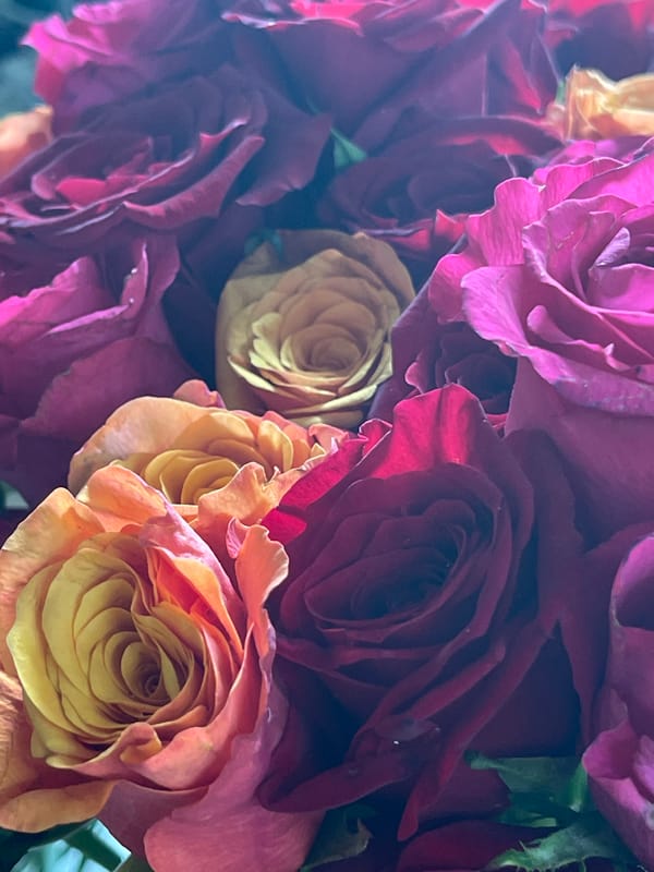Close-up rose bouquet in rich pinks, reds, and orange