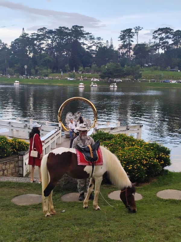 Morning life around Xuan Huong Lake in Da Lat