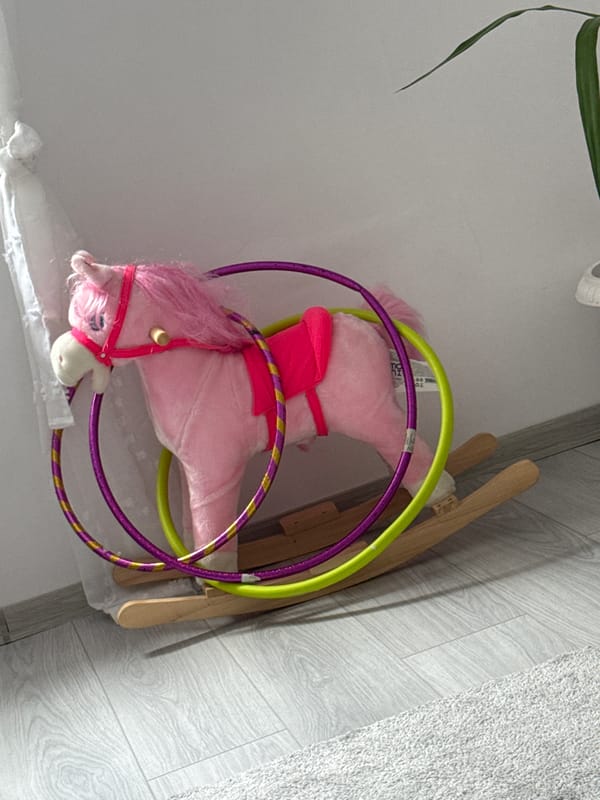 Indoor scenes with toy horse, landscape view documented in Shumen