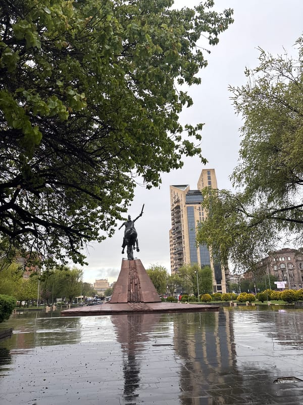 Cat befriends visitor at Yerevan monument during rainy morning