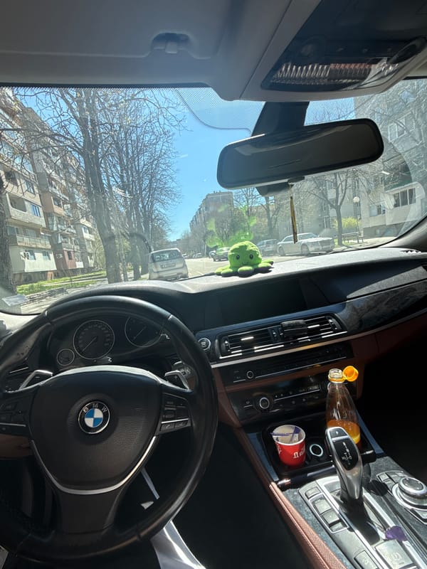 Green octopus toy spotted on BMW dashboard in Bulgaria