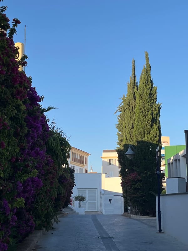 Afternoon walk through Limassol marina district and waterfront