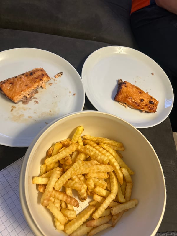Salmon dinner and LEGO Technic build on a Leiden evening