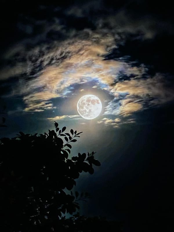 Moonlit clouds and a campfire on a pretty Venezuelan night