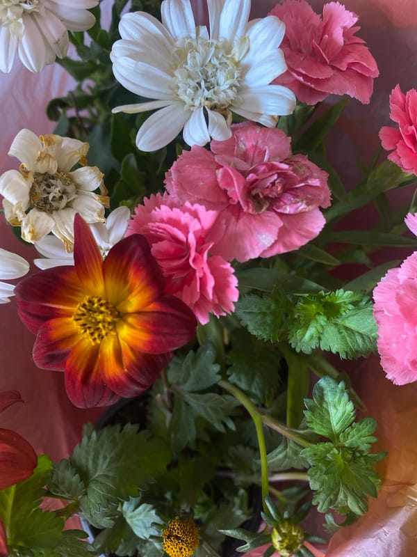 Daily life moments captured in Ukrainian village garden setting