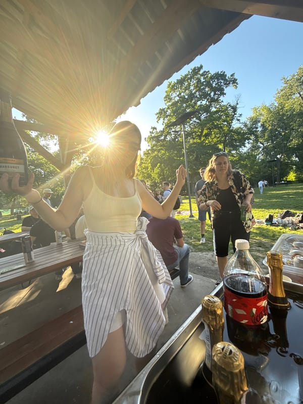 Young adults gather for casual park meetup in Serbia