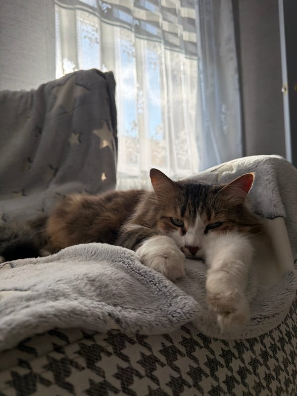 Quiet morning moments captured in Chaikovsky, Russia