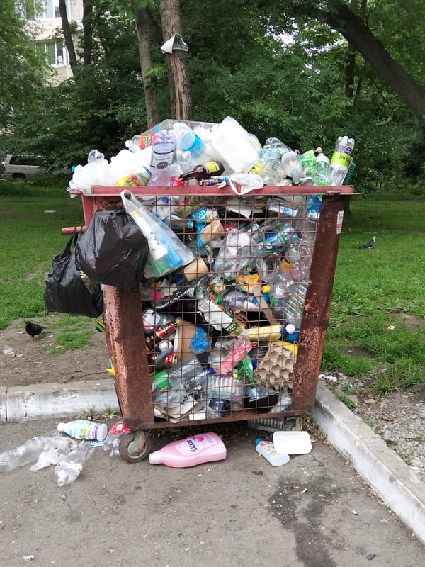 A summer morning in Artyom's city park, jets and kittens included