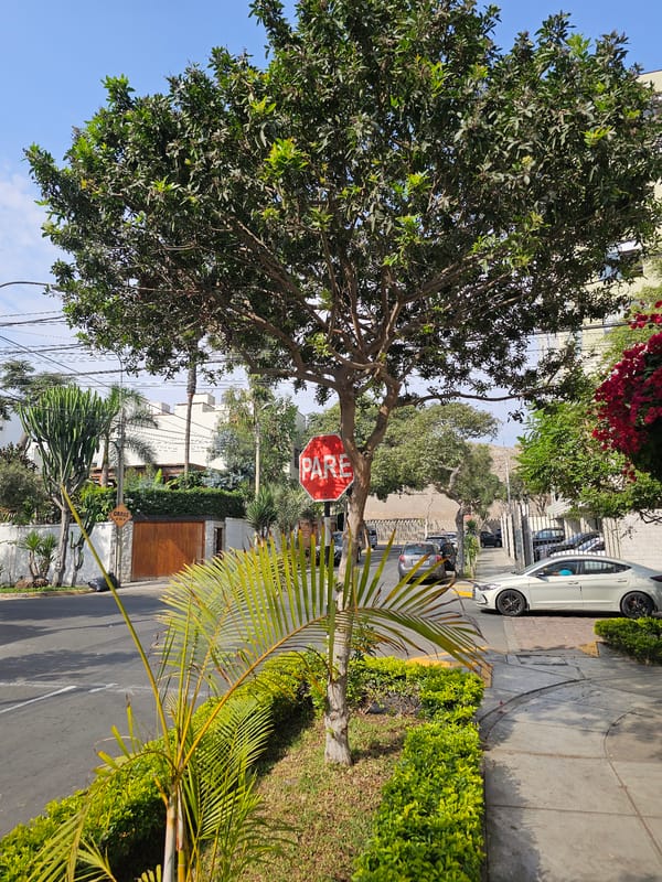 Person documents evening walk through Lima's Miraflores, San Isidro districts