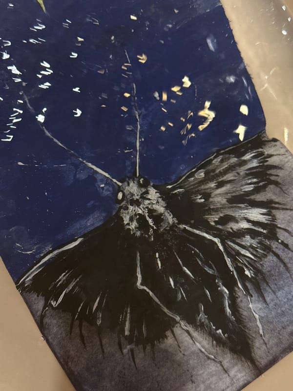 Artist completes moth watercolor painting in Saint Petersburg sketchbook