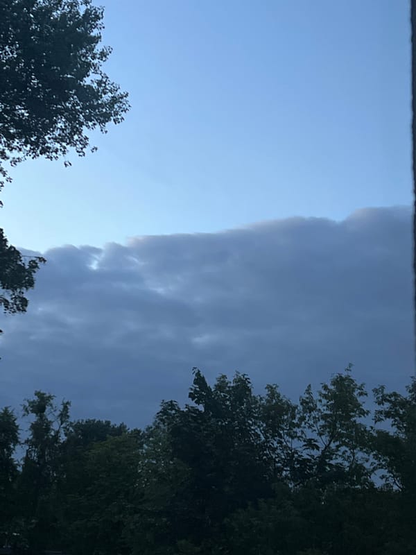 Warsaw treeline meets a moody twilight sky