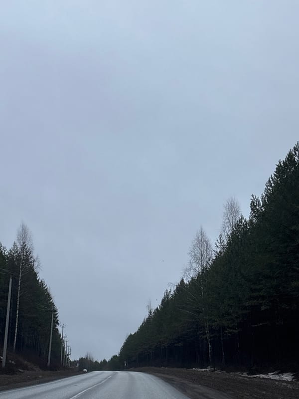 Overcast morning captured on tree-lined road in Chaikovsky, Russia