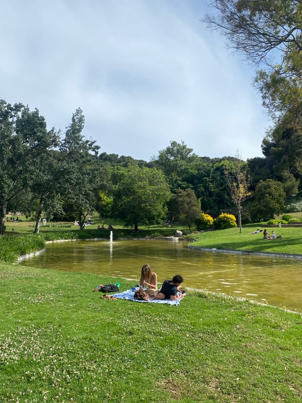 Afternoon stroll documented across Barcelona's parks and gardens