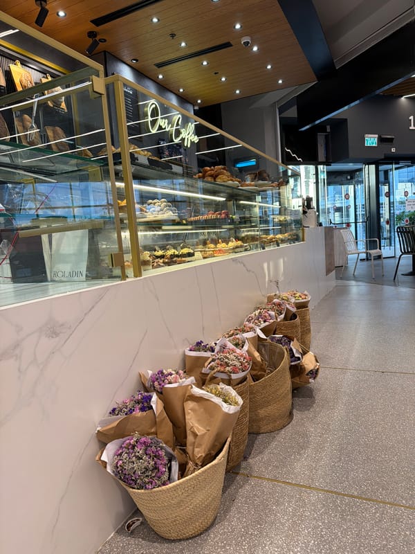 Shopper documents mall visit across bakeries and retail stores