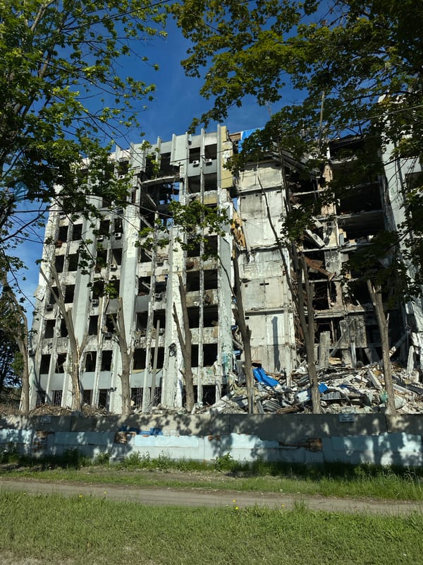Morning scenes capture waterway wildlife, traffic, damaged building