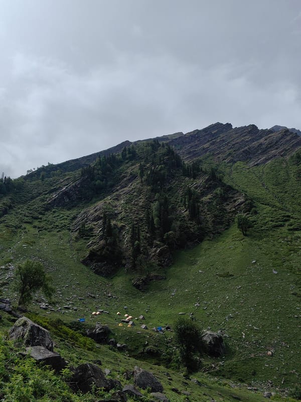 Trekking through Burwa's Himalayan slopes with buffalo and mountain views