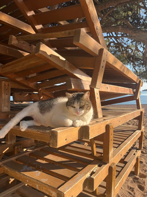 Everyday moments captured in Montenegro coastal town Rafailovići