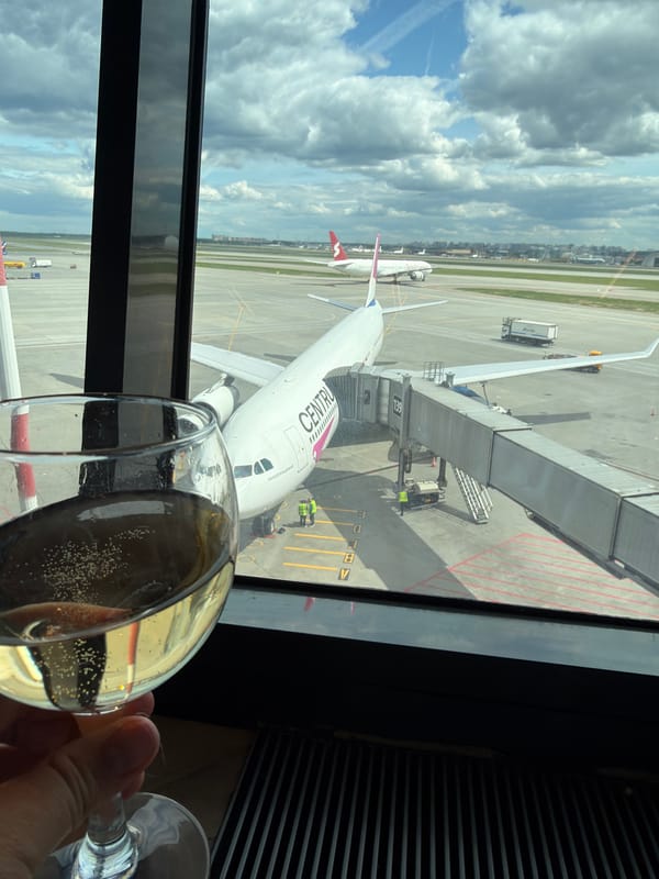 Morning airport operations documented at Moscow's Sheremetyevo International