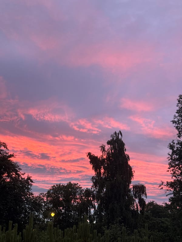 Vivid summer sunset over Carnikava, Latvia, captured from all angles