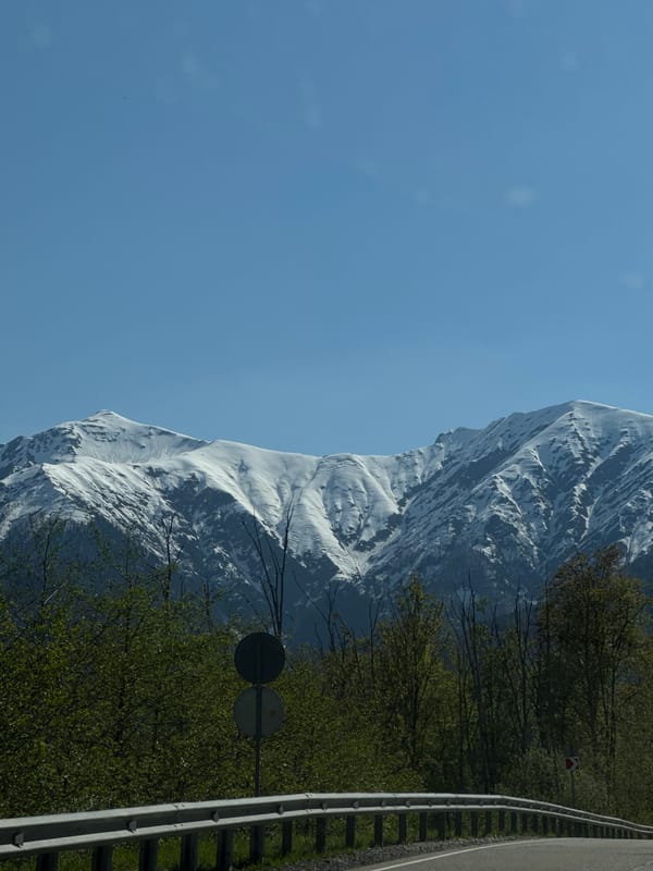 Spring mountain scenery documented along Estosadok roadway