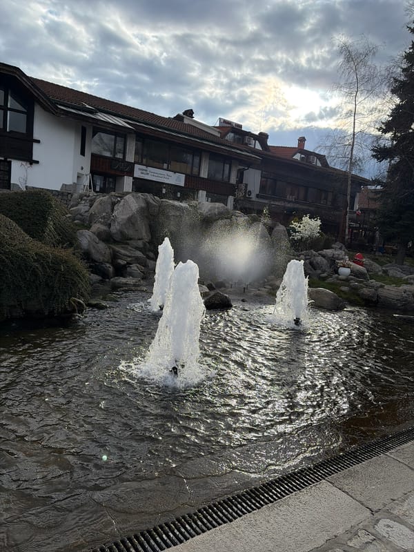 Bansko residents capture fountain, gym, mountain views