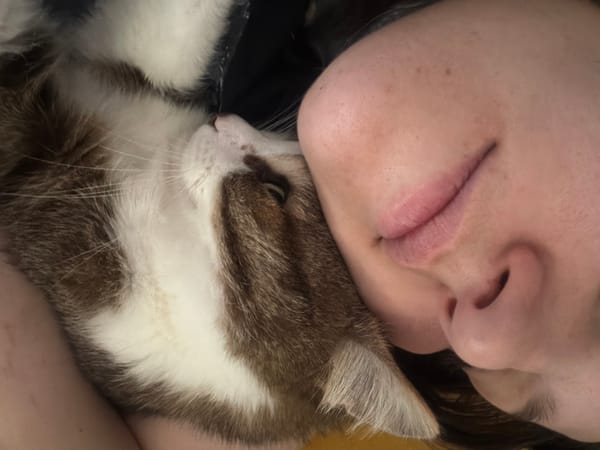 Russian family's quiet morning moments captured in Chaikovsky home