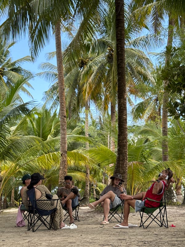 Four people gather in camping chairs among coconut palms in Dapa