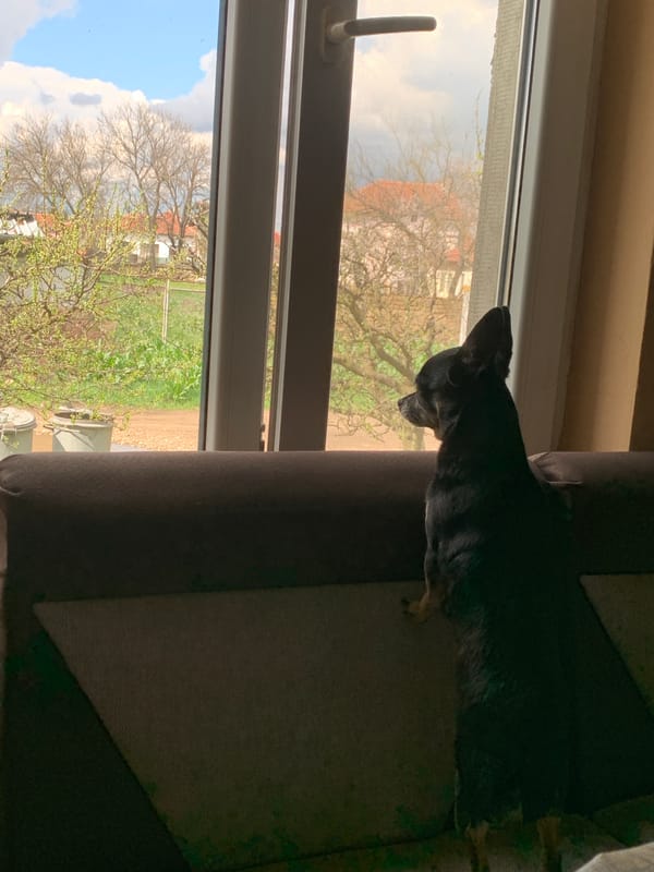 Remote worker documents quiet Saturday afternoon in rural Bulgaria