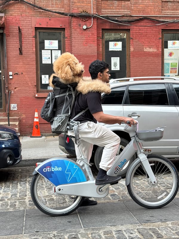 Evening street life captured across New York City