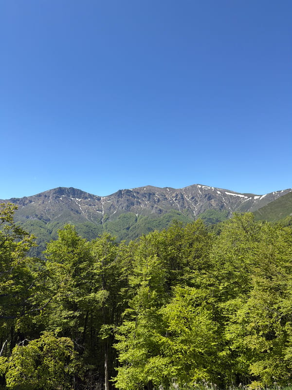 Hiker documents scenic mountain trek through Stokite, Bulgaria