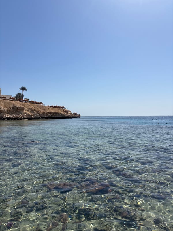 Morning resort life documented in sunny Sharm El Sheikh