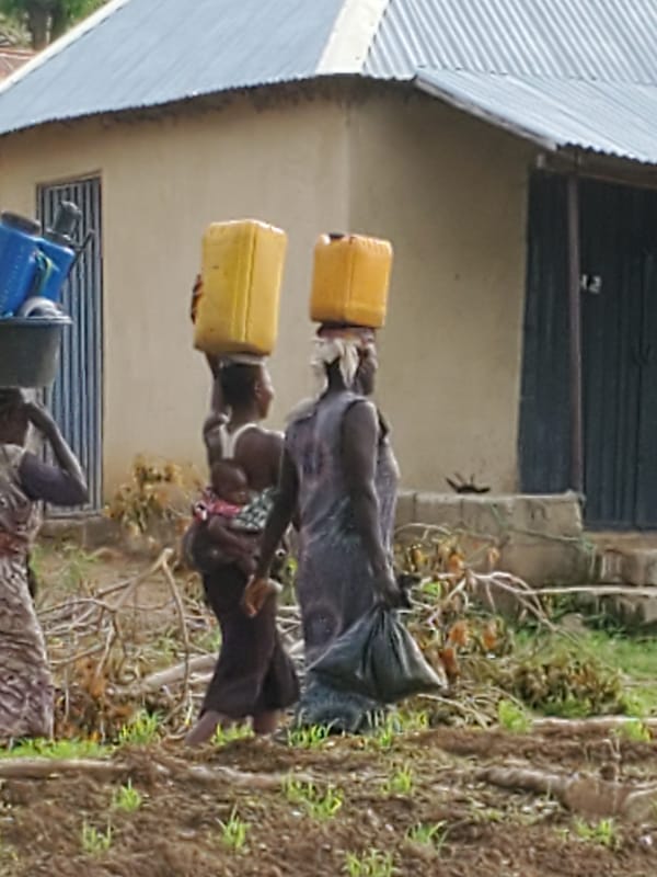 Rural African homestead morning: chores, animals, and faith
