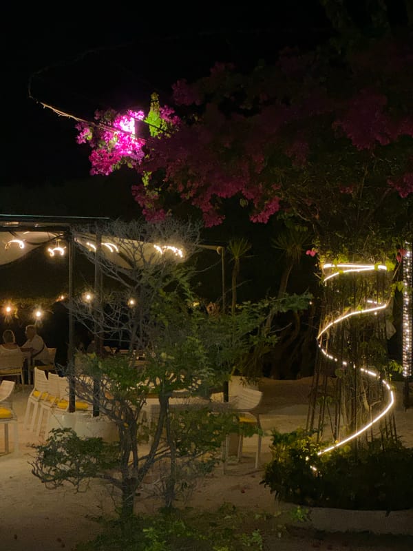 Indonesian garden illuminated by string lights with pink bougainvillea