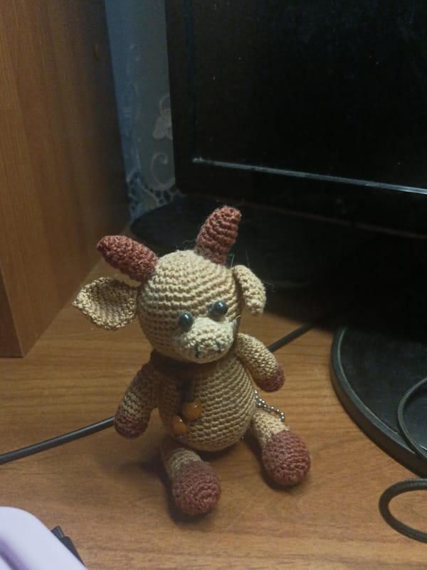 Personal belongings and home interior documented in Semyonov