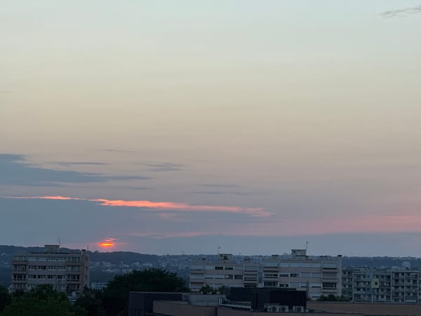 City sunset views paired with a couple of blueberry muffin shots