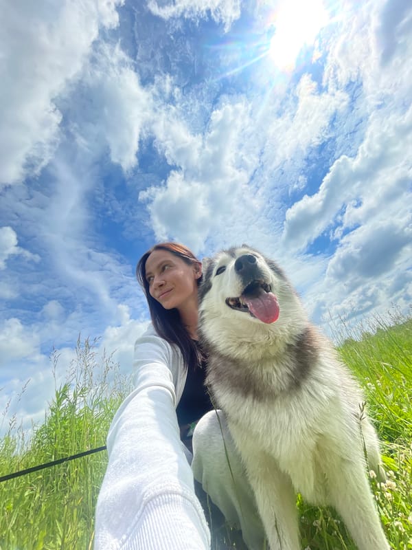 Woman and Husky photographed in field in Izhevsk