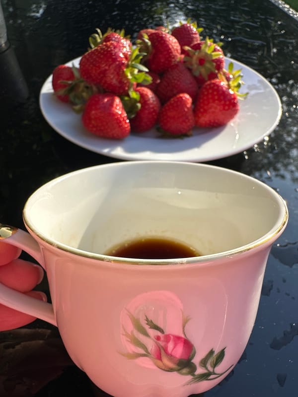 Elaborate afternoon tea garden setup documented in Krefeld